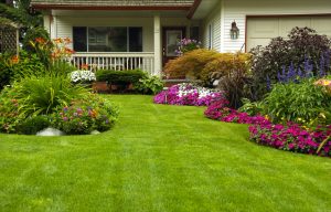 landscaping design 