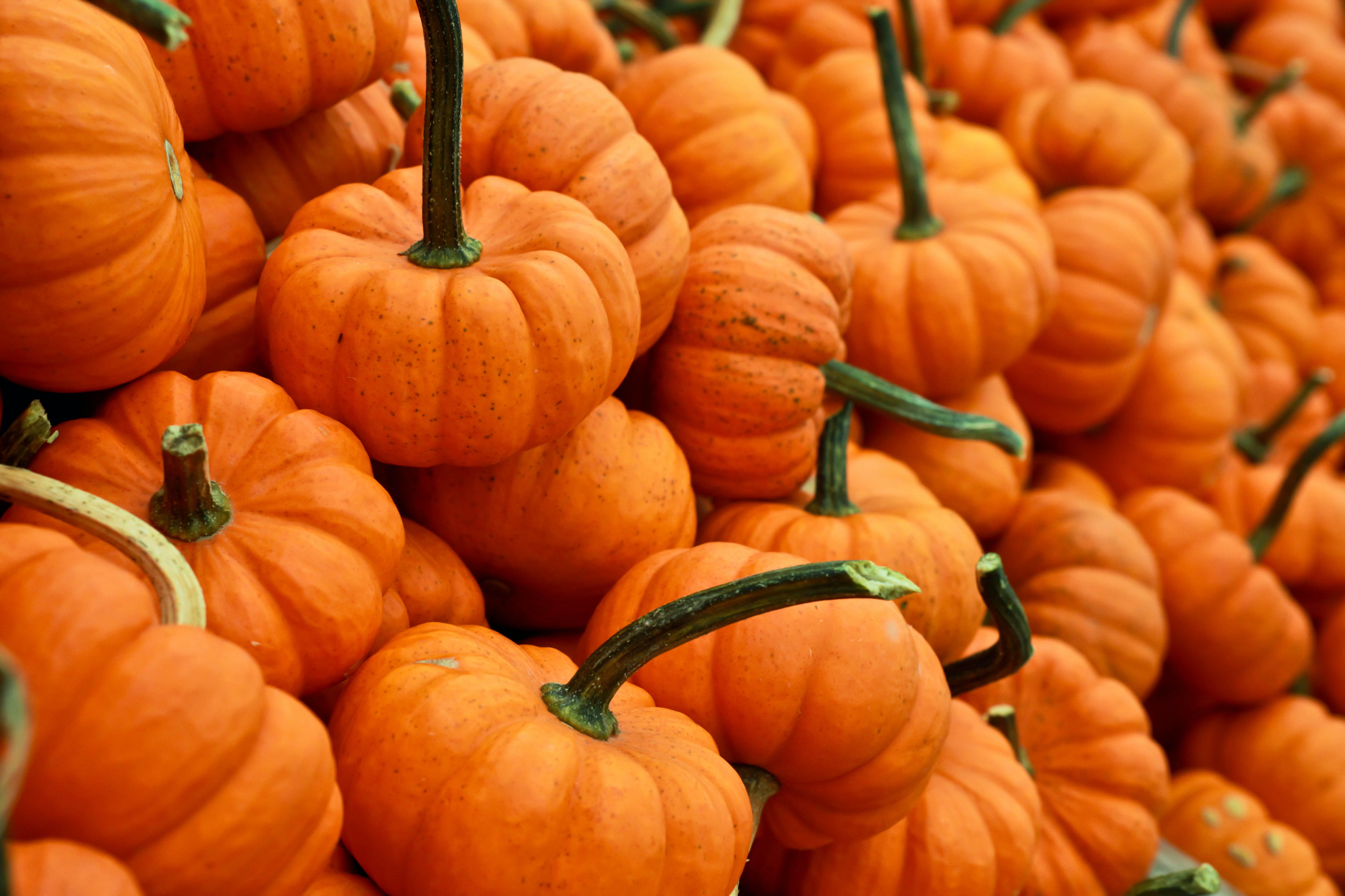 Use of Pumpkins for house decoration