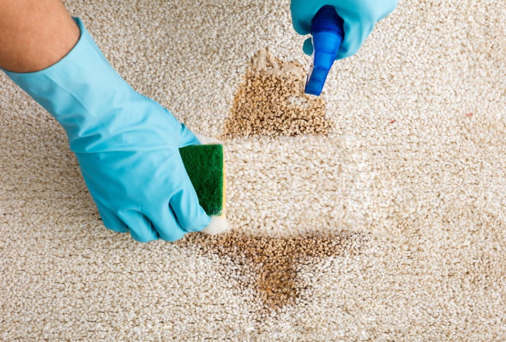 remove carpet stains