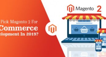 The 5 best Ecommerce plugins in Magento Website Development