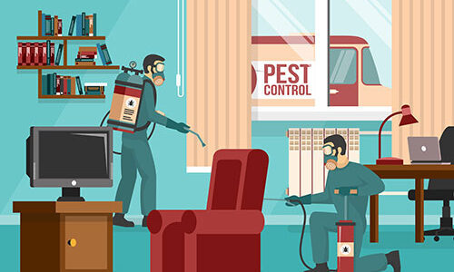 Tips to Stop Cockroach Infestation from Spreading in the House