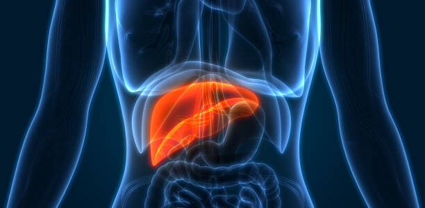 7 Healthy Habits and Foods to Strong your Liver