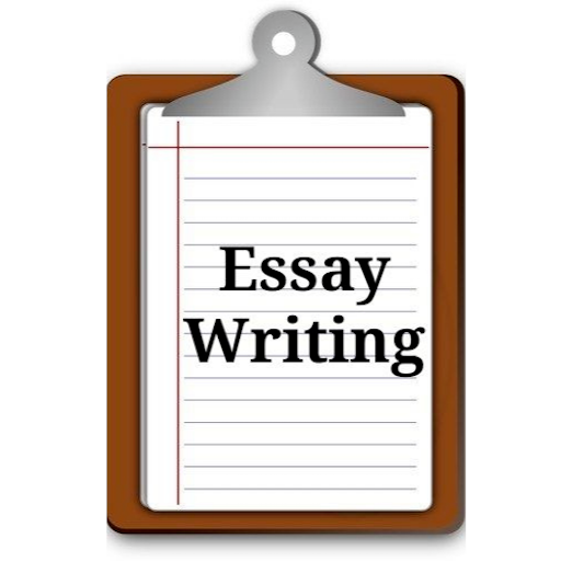 Essay Help