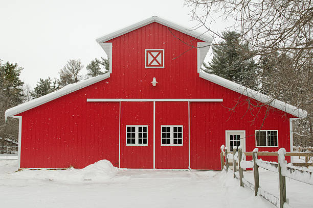 The Durability of Metal Barns: What Makes Them Last?