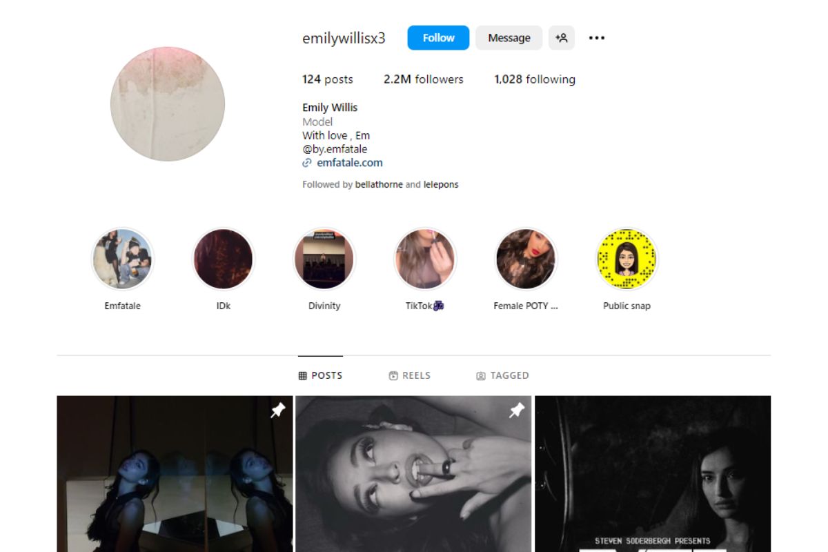 Emily Wills Social Media Presence