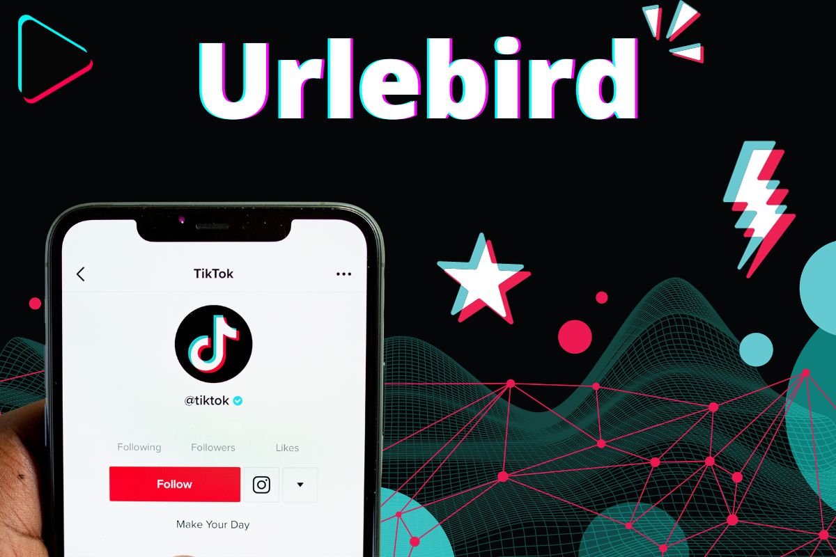 Discover Urlebird – Anonymously Explore TikTok with Ease