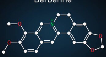 Top 5 Health Benefits Of Berberine