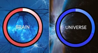 Decoding Brain Universe Theory- Minds and Universes
