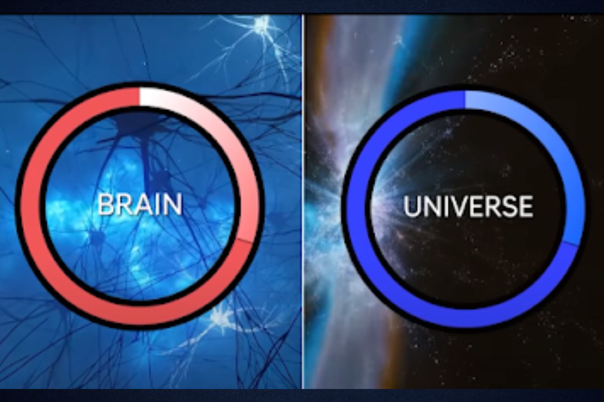 Brain Universe Theory