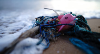 5 Environmental Disasters Americans Will Always Remember