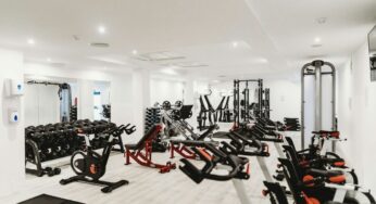 Ecdysterone vs. Other Performance Enhancers: A Comprehensive Comparison