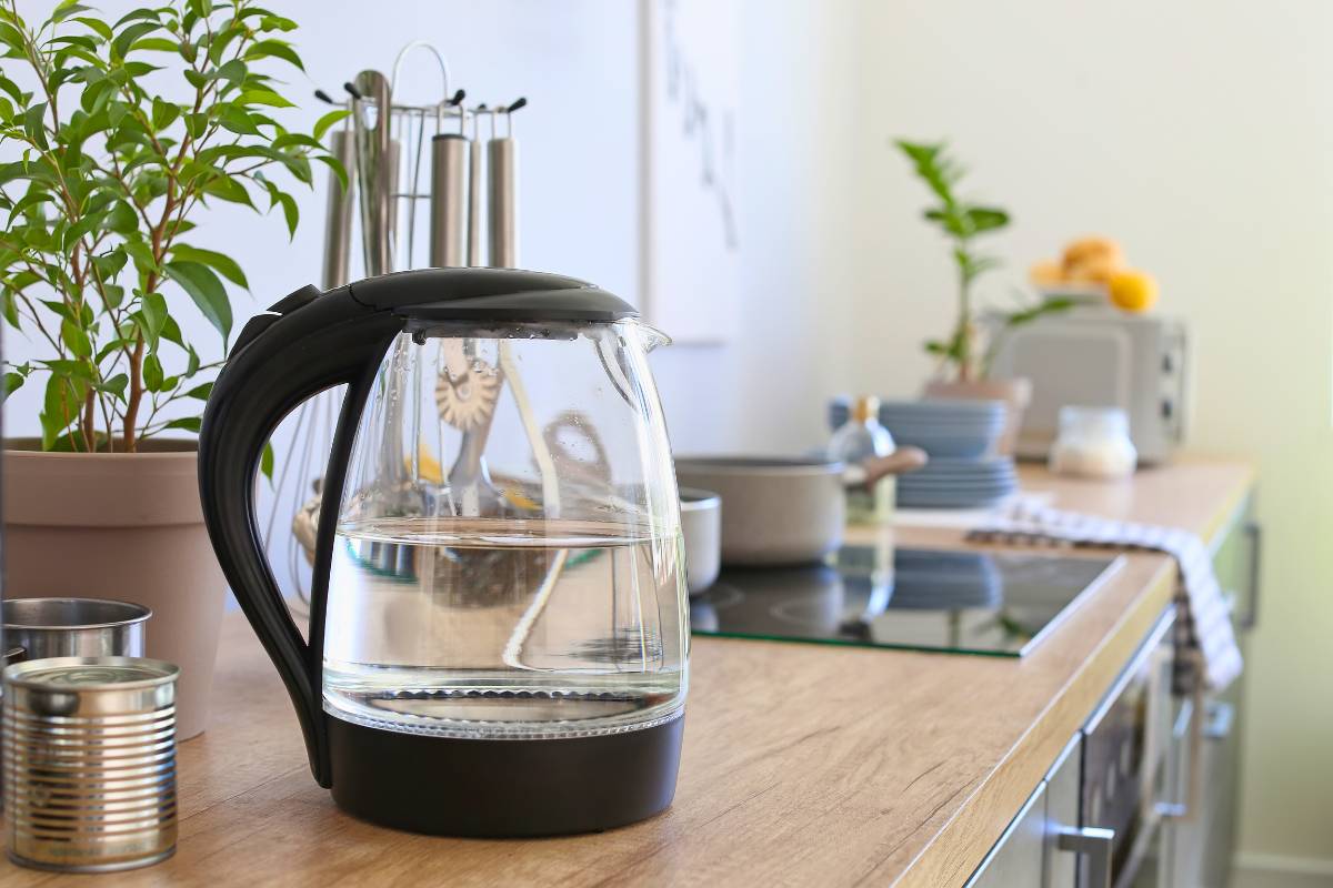 travel friendly electric kettles