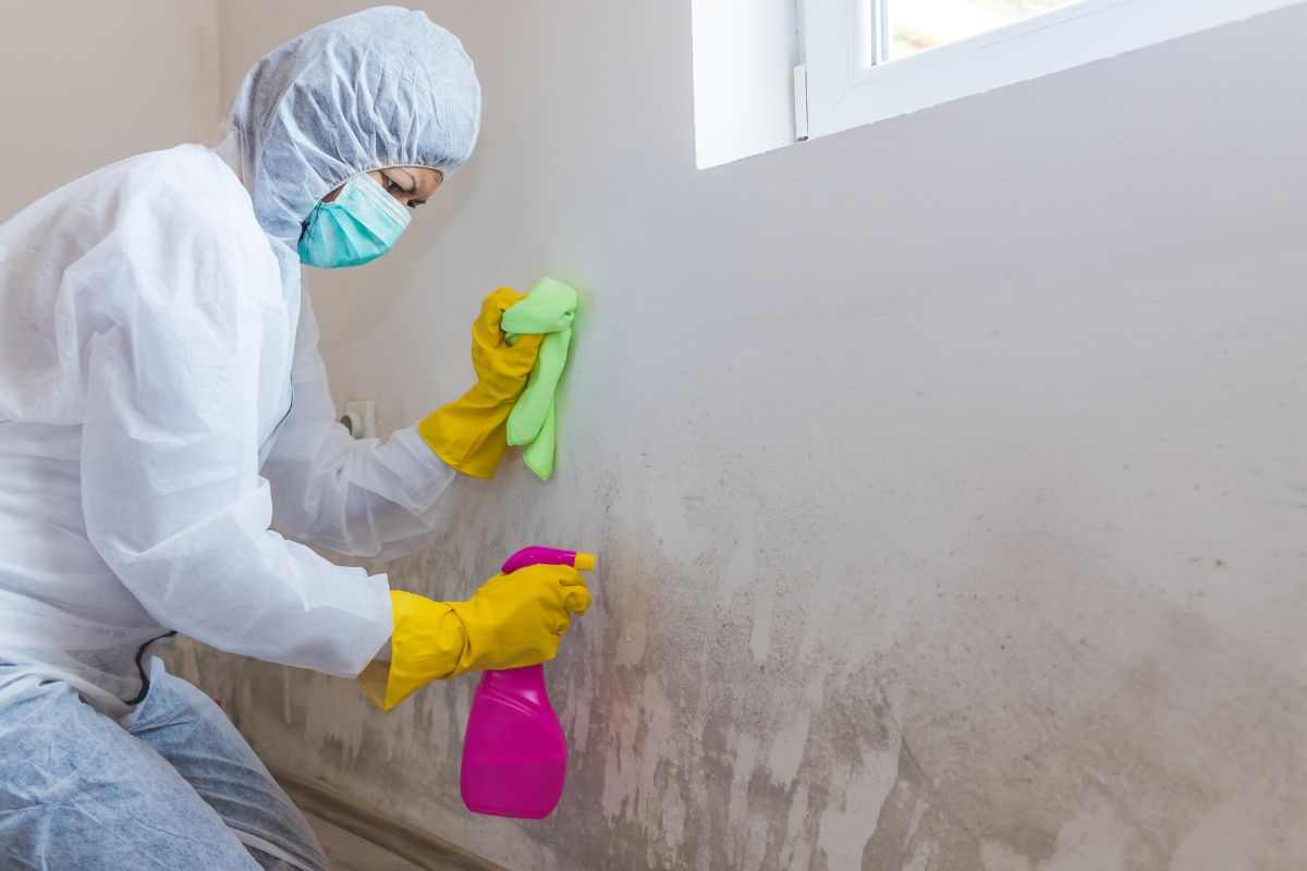 Dangers of Mold