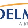 adelman Travel