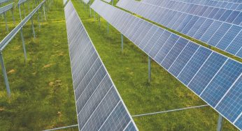 How to Choose the Right Solar PV Module for Your Needs?